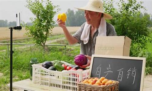 农产品直播期货(农产品直播电商营销策略研究)_https://www.dcjwmf.com_大商所_第1张