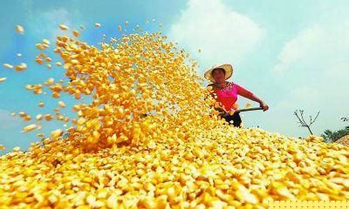 小伙买玉米期货视频直播(玉米期货买卖)_https://www.dcjwmf.com_郑商所_第1张