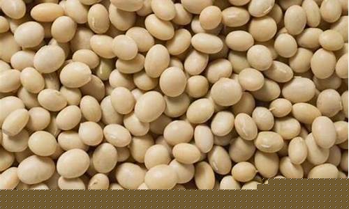 期货豆1701(期货豆粕2409)_https://www.dcjwmf.com_郑商所_第1张