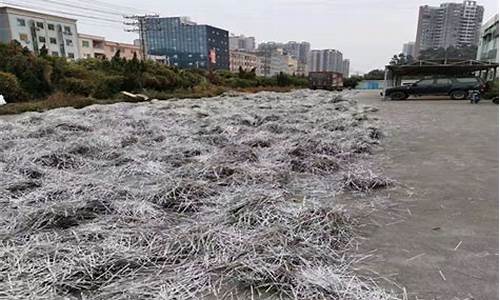 镍矿多少钱一吨2023年(镍矿多少钱一个品位)_https://www.dcjwmf.com_中金所_第1张
