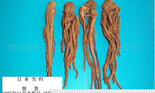 当归期货(当归期货价格)_https://www.dcjwmf.com_大商所_第1张