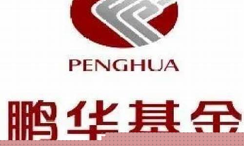 鹏华基金实力怎么样(鹏华基金app官网下载)_https://www.dcjwmf.com_中金所_第1张