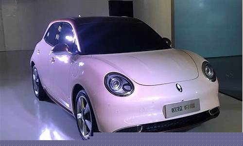 欧拉最新款电动汽车(欧拉最新款电动汽车价格表)_https://www.dcjwmf.com_中金所_第1张