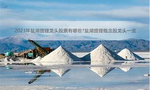 盐湖提锂概念股票有哪些(盐湖提锂概念龙头股)_https://www.dcjwmf.com_郑商所_第1张