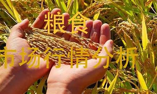 今年期货粮食(粮食期货最新行情)_https://www.dcjwmf.com_上期所_第1张