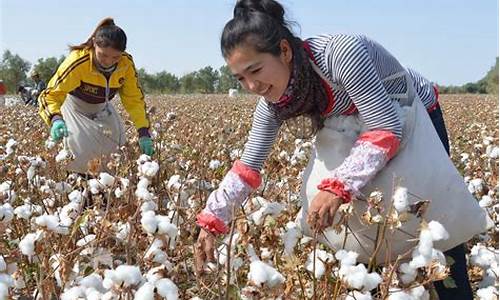 棉花期货价位(棉花期货价格是多少)_https://www.dcjwmf.com_上期能源_第1张