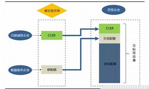 碳汇期货交易风险分析(碳汇 期货)_https://www.dcjwmf.com_中金所_第1张