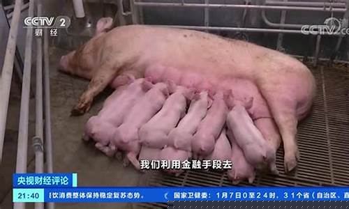 最新猪期货交易(猪期货交易时间)_https://www.dcjwmf.com_上期能源_第1张