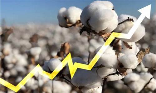 详细讨论棉花期货交易的网络平台(棉花期货信息网)_https://www.dcjwmf.com_大商所_第1张