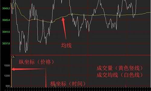怎么炒作生猪期货行情呢(生猪期货行情走势图)_https://www.dcjwmf.com_郑商所_第1张