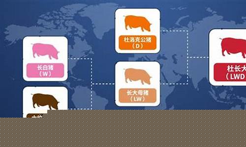 生猪期货交易单位是(生猪期货的交易单位)_https://www.dcjwmf.com_广期所_第1张