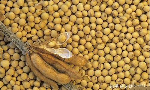 芝加哥大豆期货交易走势(芝加哥大豆期货交易时间)_https://www.dcjwmf.com_广期所_第1张