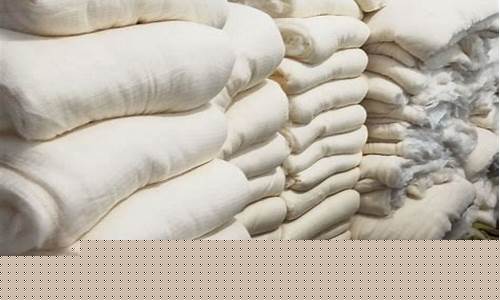 新疆皮棉期货行情网站大全(新疆皮棉期货最新价格)_https://www.dcjwmf.com_大商所_第1张