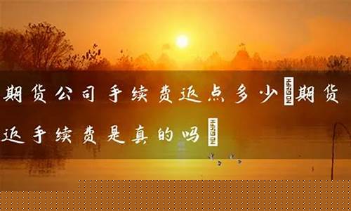 期货交易费返点多少合适(期货交返90%)_https://www.dcjwmf.com_中金所_第1张
