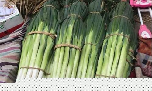大葱期货价格行情(大葱期货价格行情最新)_https://www.dcjwmf.com_大商所_第1张