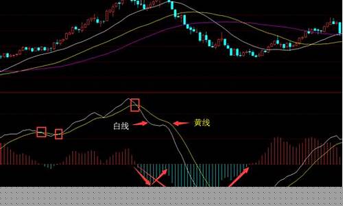 中期宝期货交易通道(期货宝骗局)_https://www.dcjwmf.com_上期所_第1张