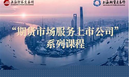 上市公司期货交易会计制度(上市公司适用什么会计制度)_https://www.dcjwmf.com_中金所_第1张