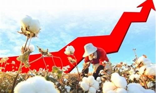 6月27日棉花期货行情(郑商所棉花期货行情)_https://www.dcjwmf.com_广期所_第1张