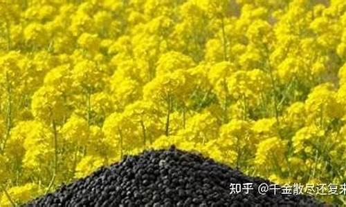 北京菜粕期货交易规则_https://www.dcjwmf.com_中金所_第1张