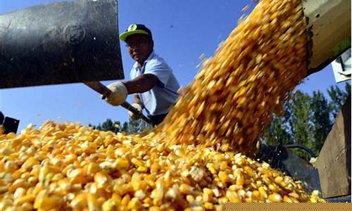 小麦期货交易产品(小麦期货叫什么)_https://www.dcjwmf.com_中金所_第1张