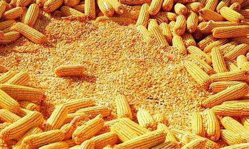 2016年玉米期货行情(2015玉米期货)_https://www.dcjwmf.com_郑商所_第1张