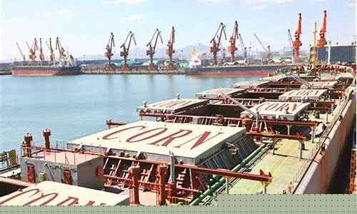 大连粮食期货交易市场(大连粮食期货交易市场价格历史)_https://www.dcjwmf.com_大商所_第1张