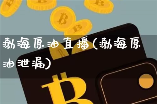 渤海原油直播(渤海原油泄漏)_https://www.dcjwmf.com_上期所_第1张