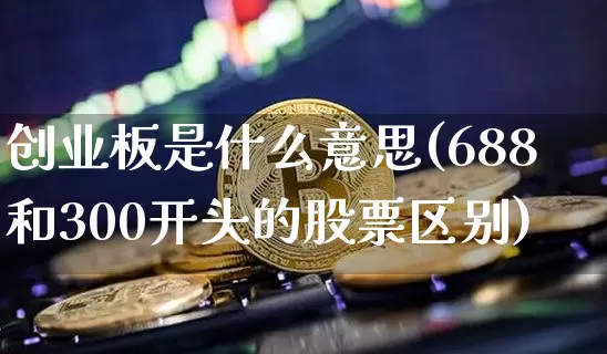 创业板是什么意思(688和300开头的股票区别)_https://www.dcjwmf.com_上期能源_第1张
