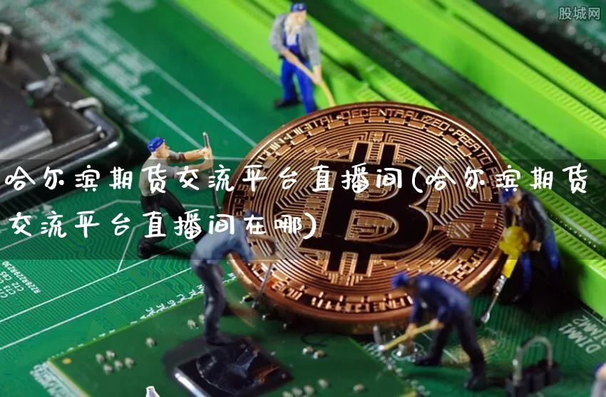 哈尔滨期货交流平台直播间(哈尔滨期货交流平台直播间在哪)_https://www.dcjwmf.com_大商所_第1张