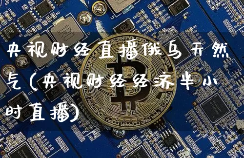 央视财经直播俄乌天然气(央视财经经济半小时直播)_https://www.dcjwmf.com_上期所_第1张