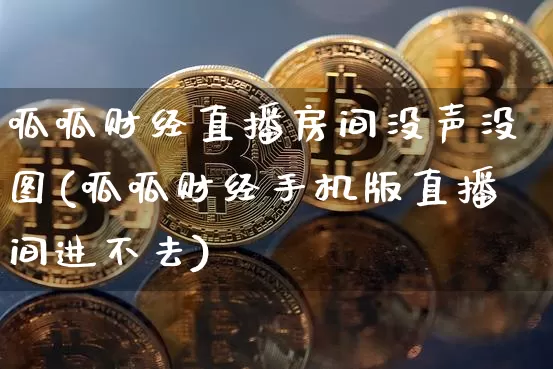 呱呱财经直播房间没声没图(呱呱财经手机版直播间进不去)_https://www.dcjwmf.com_大商所_第1张