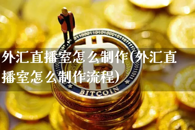 外汇直播室怎么制作(外汇直播室怎么制作流程)_https://www.dcjwmf.com_广期所_第1张