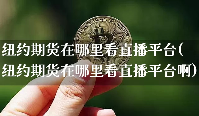 纽约期货在哪里看直播平台(纽约期货在哪里看直播平台啊)_https://www.dcjwmf.com_郑商所_第1张