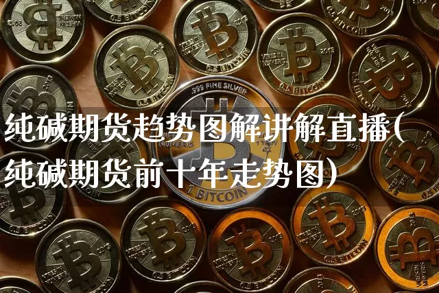 纯碱期货趋势图解讲解直播(纯碱期货前十年走势图)_https://www.dcjwmf.com_中金所_第1张