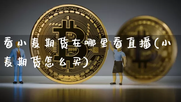 看小麦期货在哪里看直播(小麦期货怎么买)_https://www.dcjwmf.com_中金所_第1张