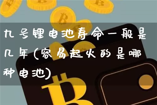 九号锂电池寿命一般是几年(容易起火的是哪种电池)_https://www.dcjwmf.com_大商所_第1张