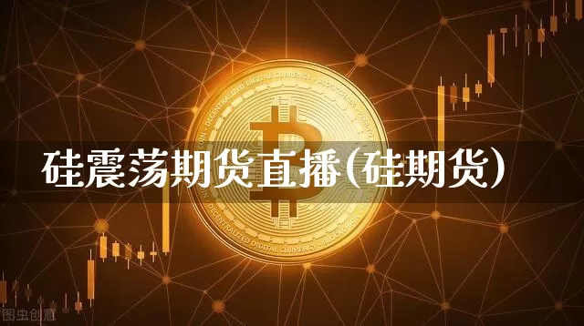 硅震荡期货直播(硅期货)_https://www.dcjwmf.com_上期能源_第1张