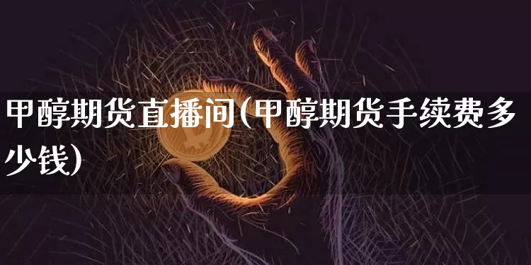甲醇期货直播间(甲醇期货手续费多少钱)_https://www.dcjwmf.com_郑商所_第1张
