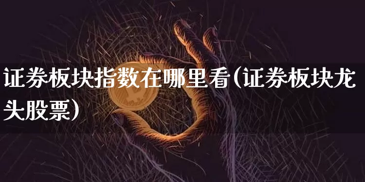 证券板块指数在哪里看(证券板块龙头股票)_https://www.dcjwmf.com_大商所_第1张
