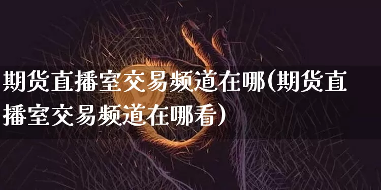 期货直播室交易频道在哪(期货直播室交易频道在哪看)_https://www.dcjwmf.com_大商所_第1张