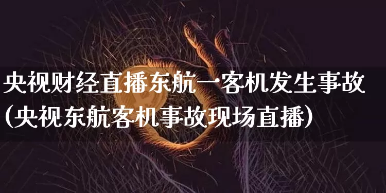 央视财经直播东航一客机发生事故(央视东航客机事故现场直播)_https://www.dcjwmf.com_大商所_第1张