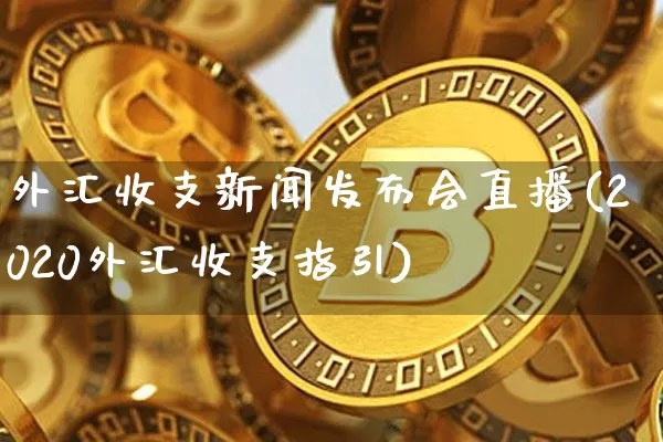 外汇收支新闻发布会直播(2020外汇收支指引)_https://www.dcjwmf.com_广期所_第1张