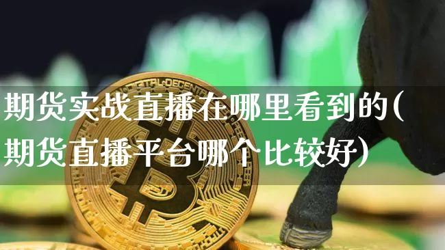 期货实战直播在哪里看到的(期货直播平台哪个比较好)_https://www.dcjwmf.com_上期所_第1张