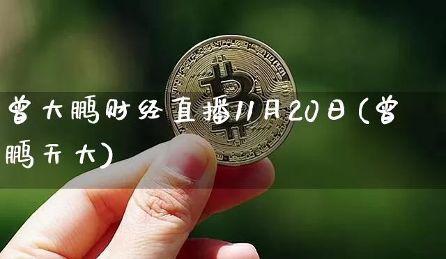 曾大鹏财经直播11月20日(曾鹏天大)_https://www.dcjwmf.com_广期所_第1张