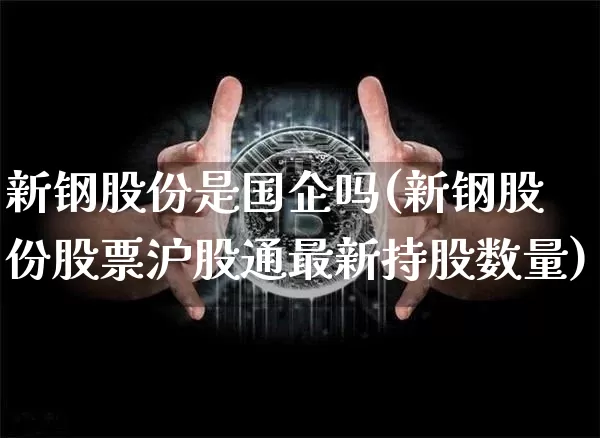 新钢股份是国企吗(新钢股份股票沪股通最新持股数量)_https://www.dcjwmf.com_大商所_第1张