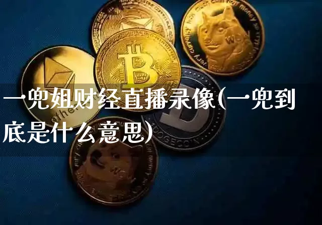 一兜姐财经直播录像(一兜到底是什么意思)_https://www.dcjwmf.com_郑商所_第1张