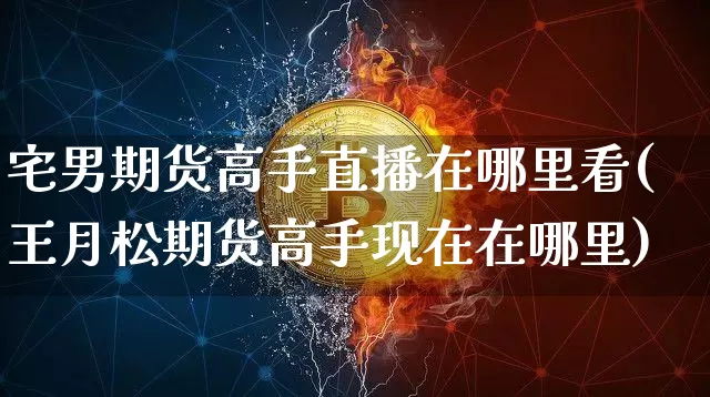 宅男期货高手直播在哪里看(王月松期货高手现在在哪里)_https://www.dcjwmf.com_郑商所_第1张