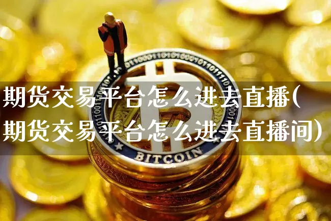 期货交易平台怎么进去直播(期货交易平台怎么进去直播间)_https://www.dcjwmf.com_上期能源_第1张