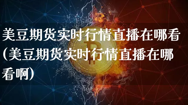 美豆期货实时行情直播在哪看(美豆期货实时行情直播在哪看啊)_https://www.dcjwmf.com_郑商所_第1张