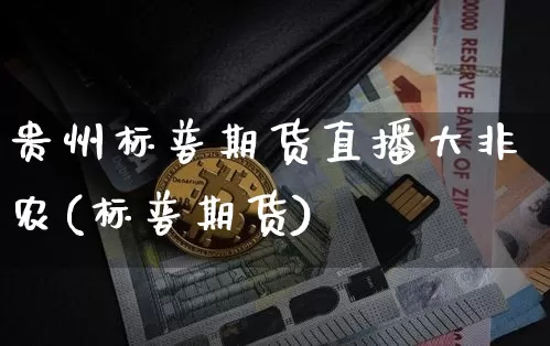 贵州标普期货直播大非农(标普期货)_https://www.dcjwmf.com_大商所_第1张